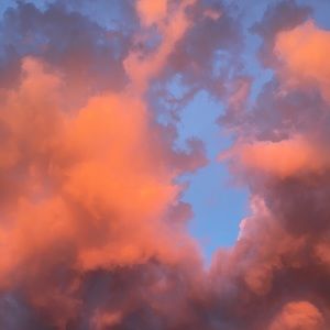 Meet your Posher, Chase